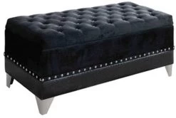 Coaster® Barzini Black Bench Trunk