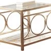 Steve Silver Co. Olympia Glass Top End Table With Gold Chrome Frame -Furniture Store 0ebdc88d ebcd 4717 938c b01423f39d2e