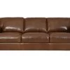 Soft Line Brown Leather Sofa -Furniture Store 16ed8845 e1d2 4c90 a675 0226404f1f9c