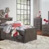 Simply Bunk Beds GreyTwin Bookcase Captain's Bed With FREE Bunk 2 Simply Bunk Beds GreyTwin Bookcase Captain's Bed With FREE Bunk -Furniture Store 2f384a0b eb6a 431b bf35 c719cca53b6b
