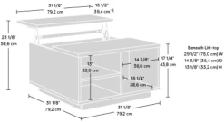 Sauder® East Rock® Ashen Oak™ Lift-Top Coffee Table -Furniture Store 45606557 e591 4cb9 9649 f00d2e747262