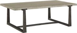Signature Design By Ashley® Dalenville Gray Coffee Table