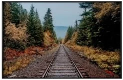 Crestview Collection Autumn Tracks Wall Art