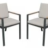 Armen Living Nofi 2-Piece Charcoal Outdoor Patio Dining Chairs -Furniture Store db3abd8f 9386 4d4d 8658 3a17d454be9e