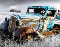 Furniture Store 16 Furniture Store -Furniture Store f210c85d f3ba 41d7 87a9 3cebc5e20786