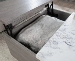 Sauder® East Rock® Ashen Oak™ Lift-Top Coffee Table -Furniture Store fe28a17c 6670 4d5c ab25 7e8a1d2cca06